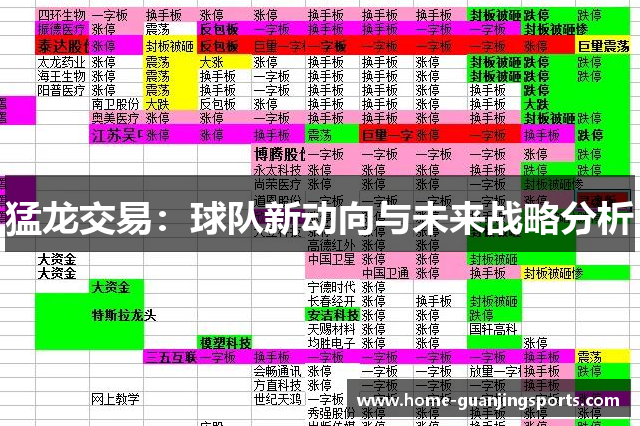 猛龙交易：球队新动向与未来战略分析